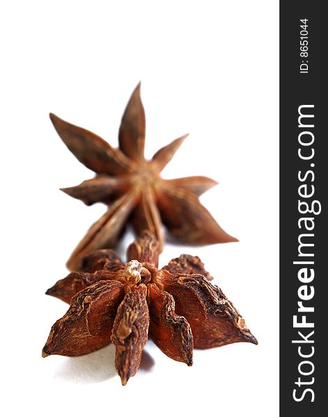Close up anise star in white background