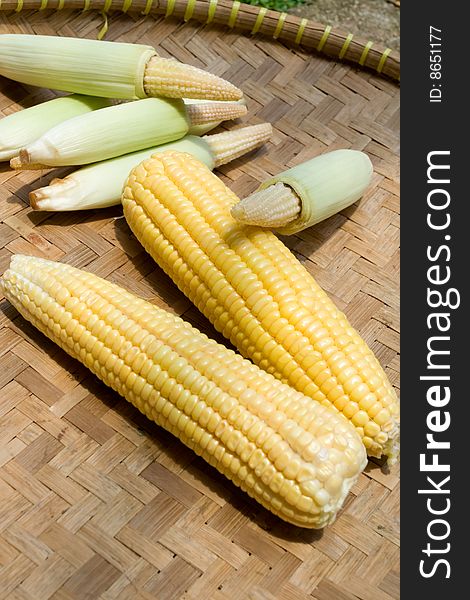 Variety of corn on traditional bamboo tray. Variety of corn on traditional bamboo tray