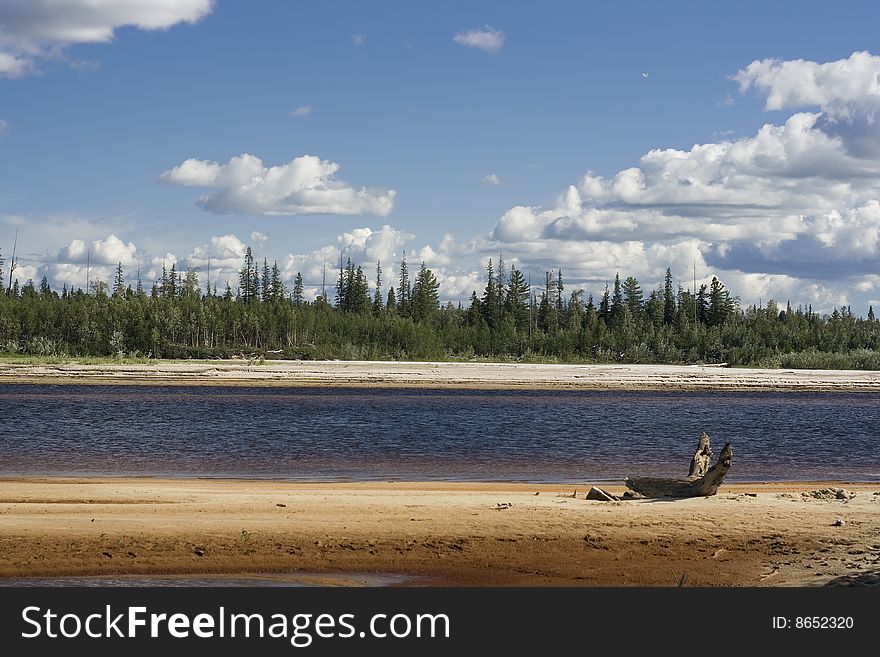 Summer landscape of river bank. Summer landscape of river bank.