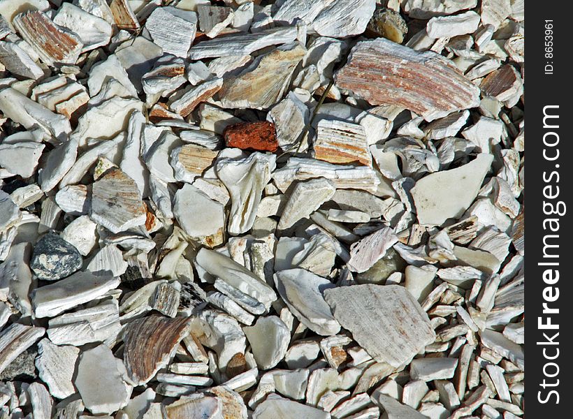 Crushed white shells on a beach road. Crushed white shells on a beach road.