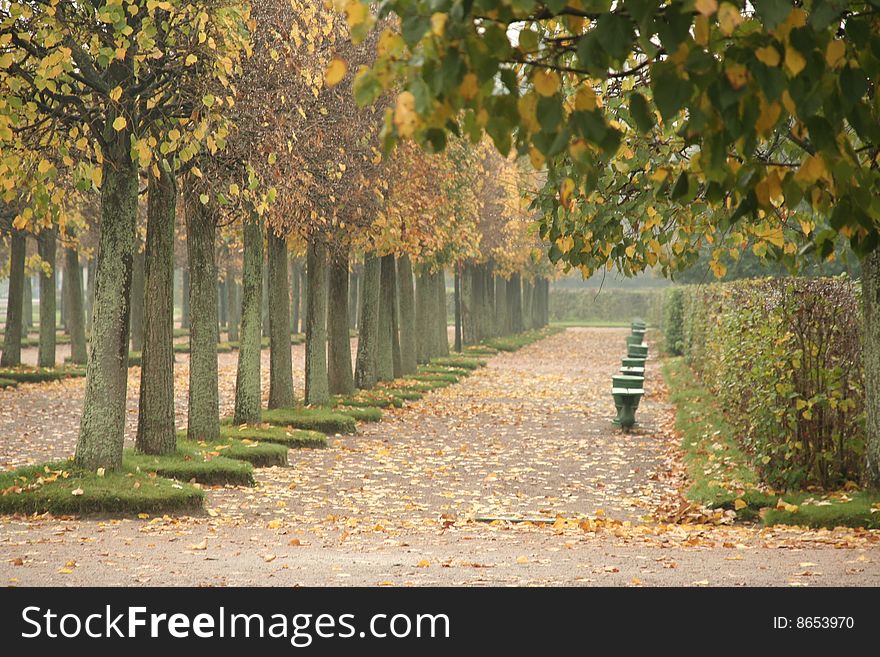 Empty park alley in the beginning of autumn. Empty park alley in the beginning of autumn