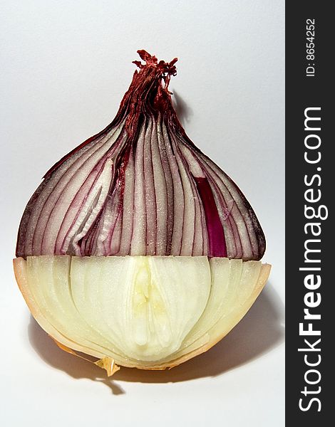 Double colored onion - special montage