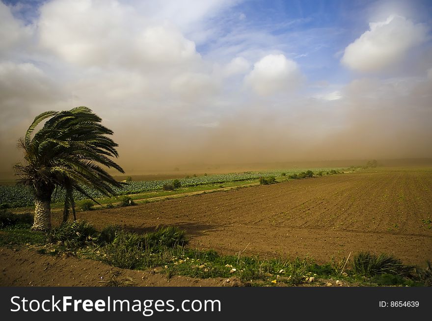 Sand storm in Morocco (landscape)