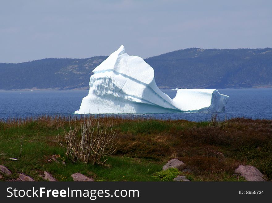 Icebergs in the bay at spring