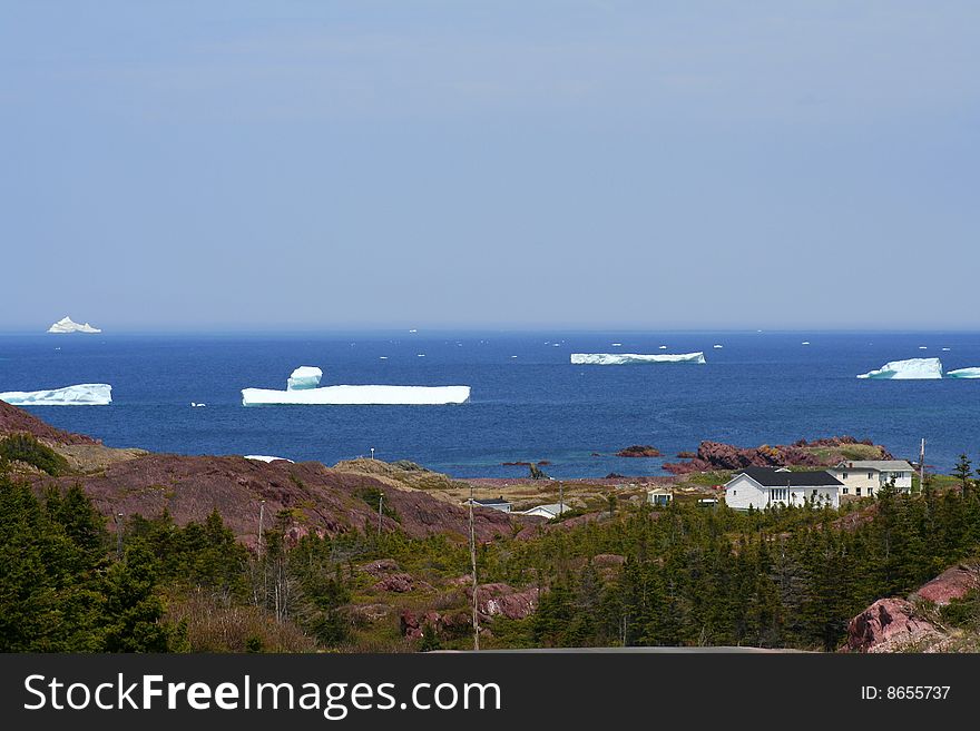 Icebergs in the bay at spring