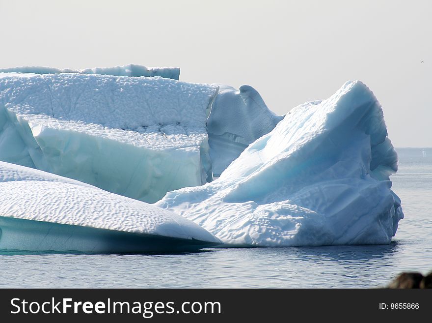 Icebergs off the coast of Newfoundland