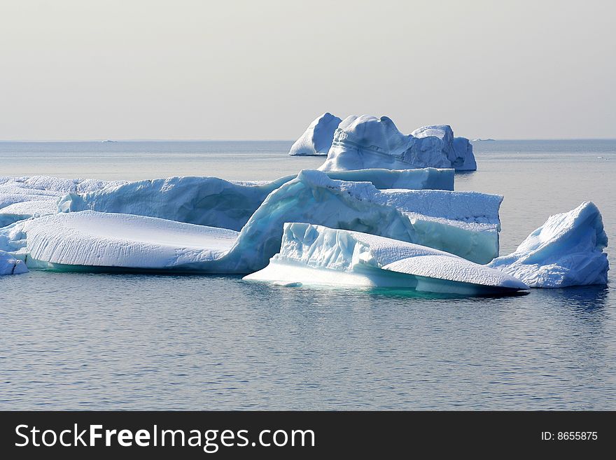 Icebergs off the coast of Newfoundland