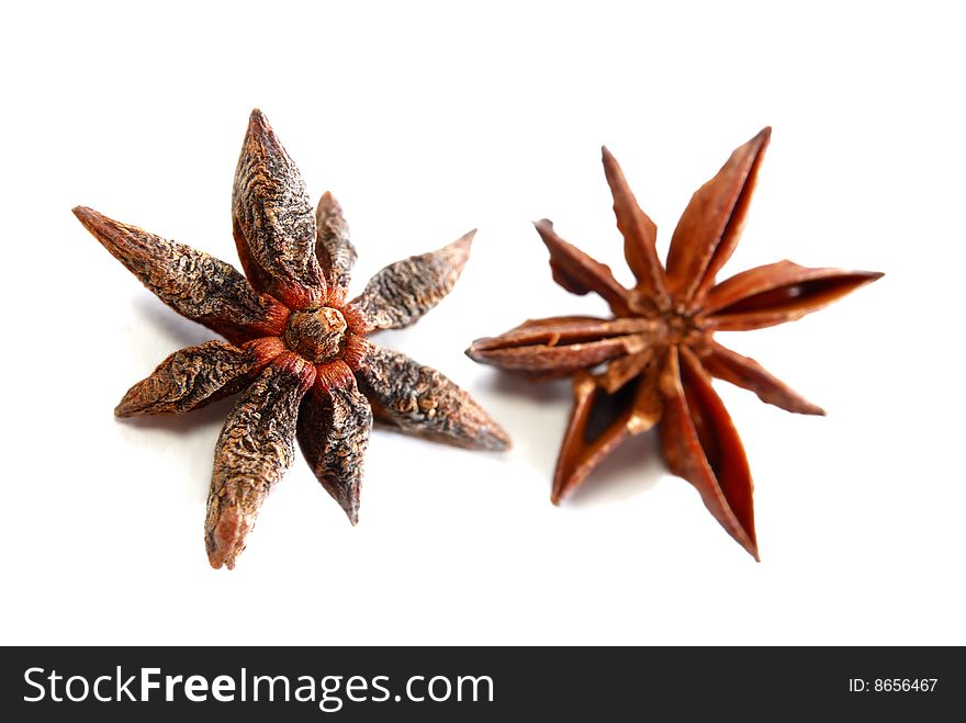 Pair of anise star in white background