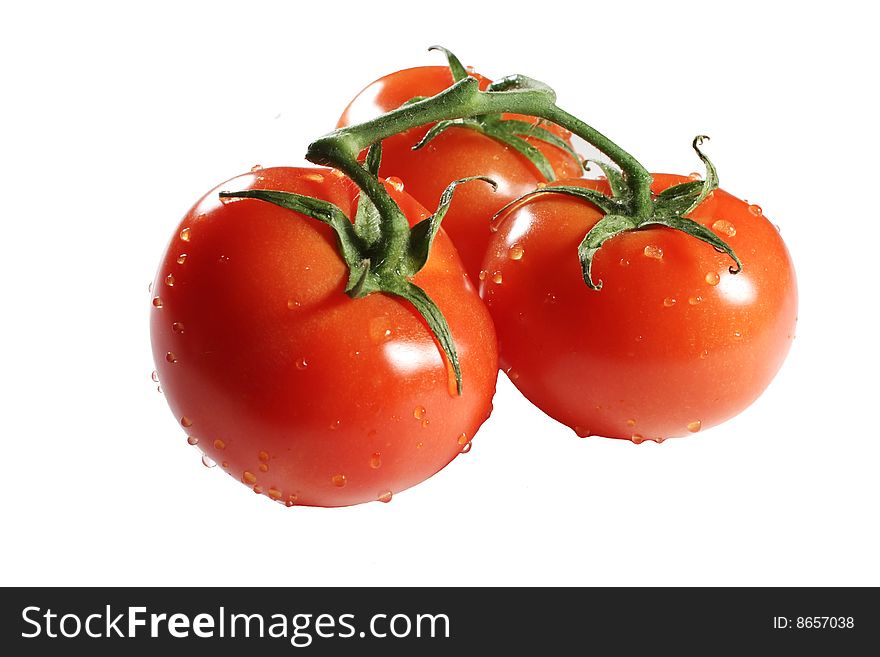 An image of three vine tomatoes. An image of three vine tomatoes