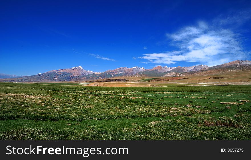 Tibet plateau vast bountiful pasture. Tibet plateau vast bountiful pasture