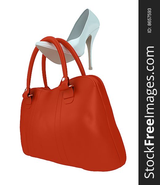 Women's bag and shoe