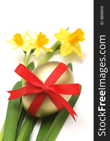 Golden easter egg wrapped around with red ribbon and daffodils for easter background.