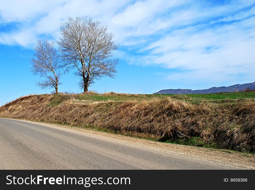 Beautiful road side landscape picture with trees against the cloudy sky background