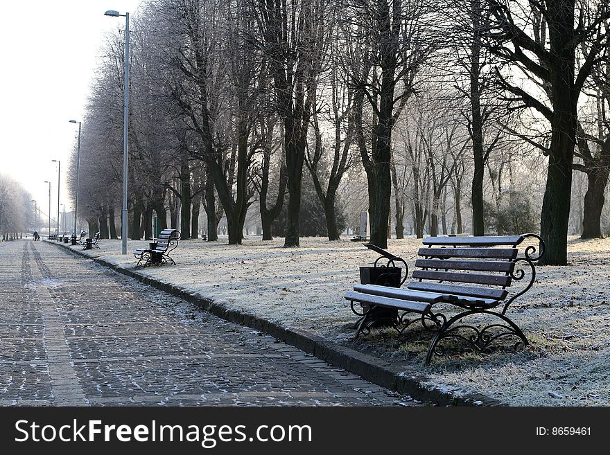 Walkway in front of the Cathedral city of Kaliningrad. Walkway in front of the Cathedral city of Kaliningrad