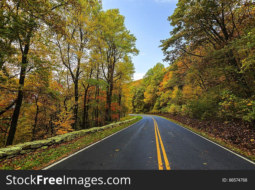 Empty road through forest with fall foliage on sunny day. Empty road through forest with fall foliage on sunny day.