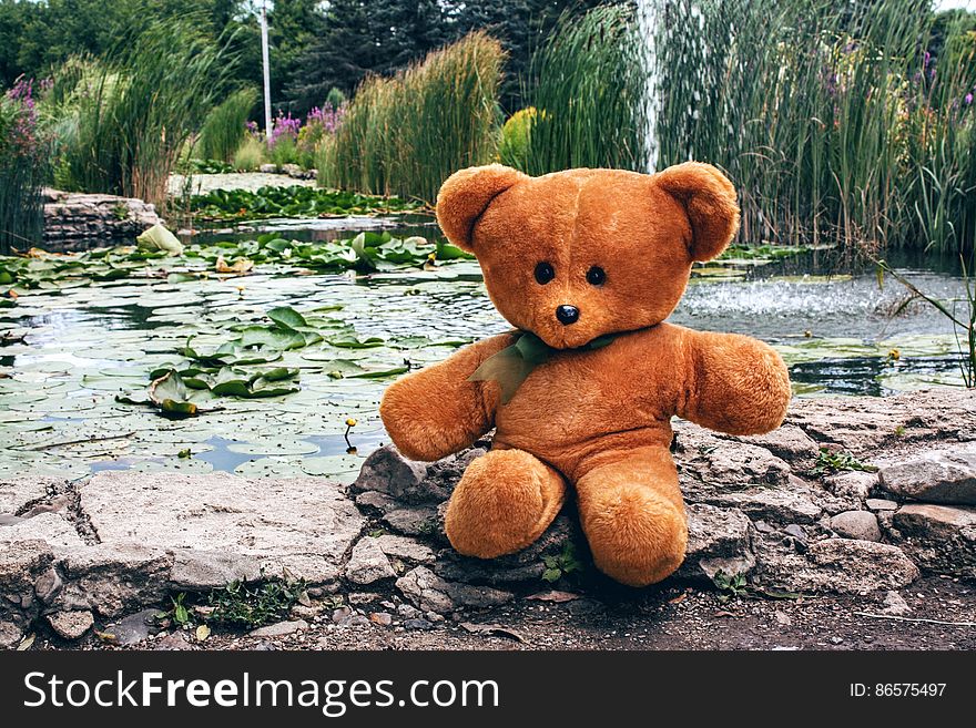 A teddy bear on a rock by a pond with water lily leaves. A teddy bear on a rock by a pond with water lily leaves.