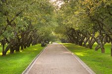 Park Rows 5 Stock Image Park Rows 5 Stock Image