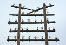 Old Electrical Post Stock Photography Old Electrical Post Stock Photography