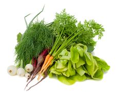 Heap Of New Vegetables Royalty Free Stock Images Heap Of New Vegetables Royalty Free Stock Images