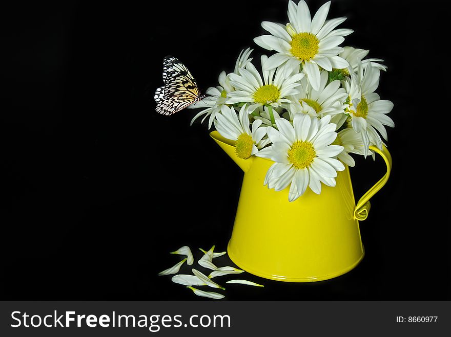 Butterfly on a bouquet of daisies in country can. Butterfly on a bouquet of daisies in country can.