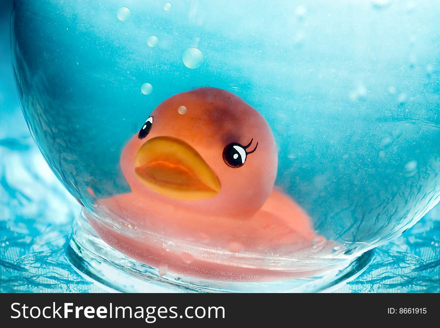 Underwater Duck