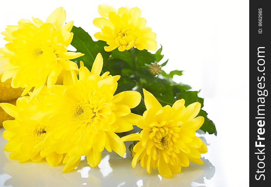 Bouquet from yellow colors on a white background. Bouquet from yellow colors on a white background