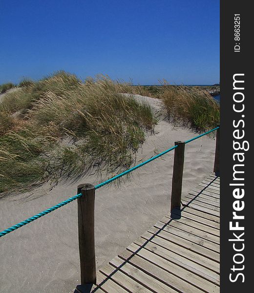 Beach walkway through the dunes