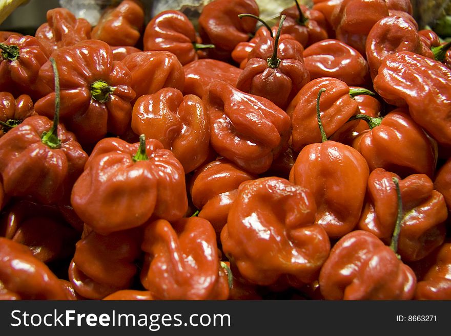 Red pepper in a market in Rome. Red pepper in a market in Rome