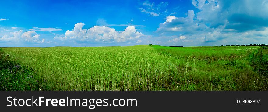An image of a green field and blue sky. An image of a green field and blue sky