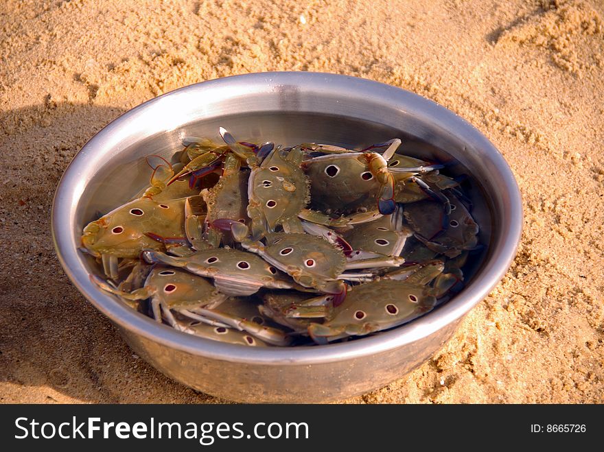 Fresh caught crabs at the beach of Vietnam