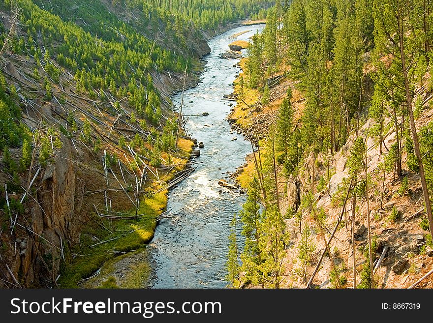 Rural river running through Yellowstone Park. Rural river running through Yellowstone Park.