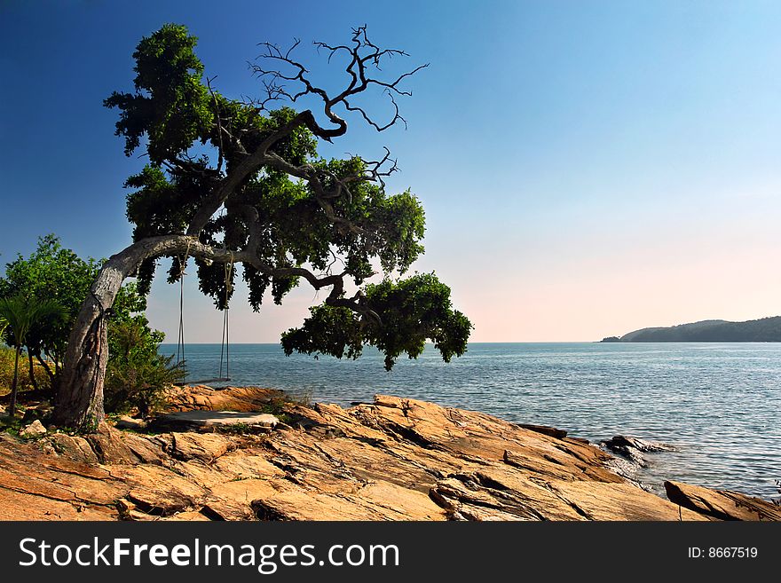 Seascape With Tree And Swing