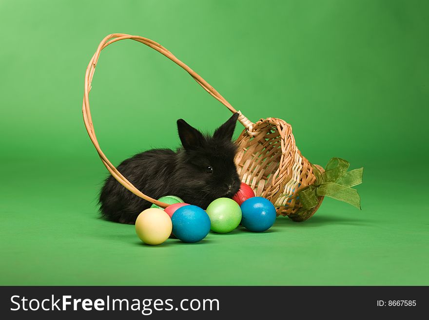 Black rabbit has dropped a basket with Easter eggs