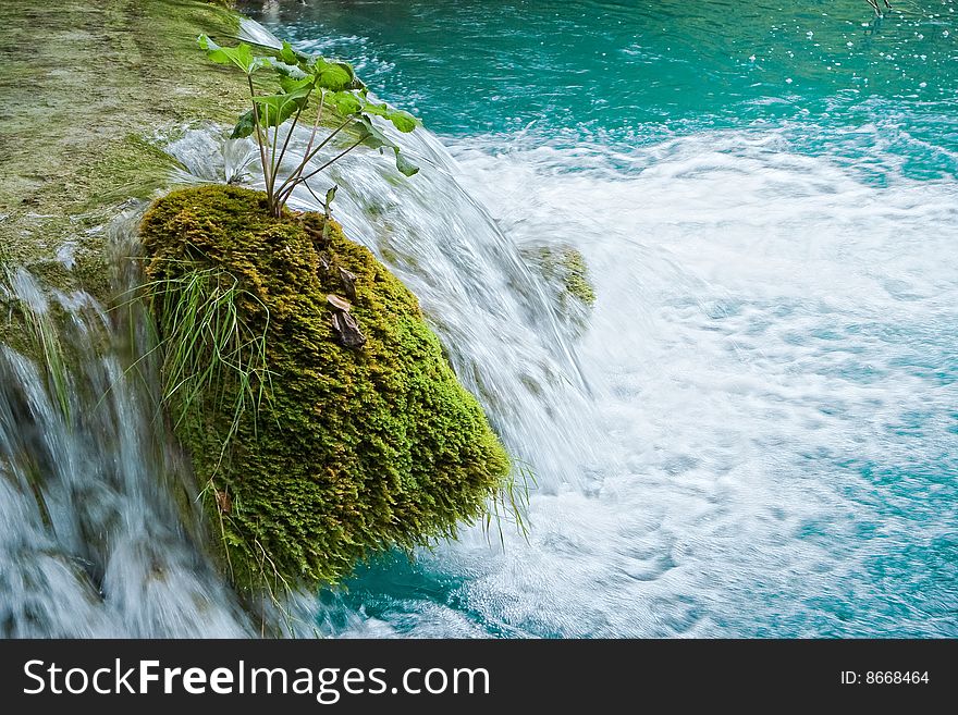 The water which flows between moss rocks. The water which flows between moss rocks