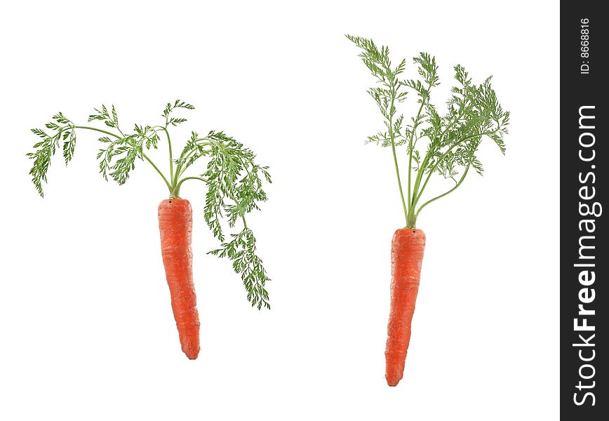 Two fresh carrots isolated on white. Two fresh carrots isolated on white