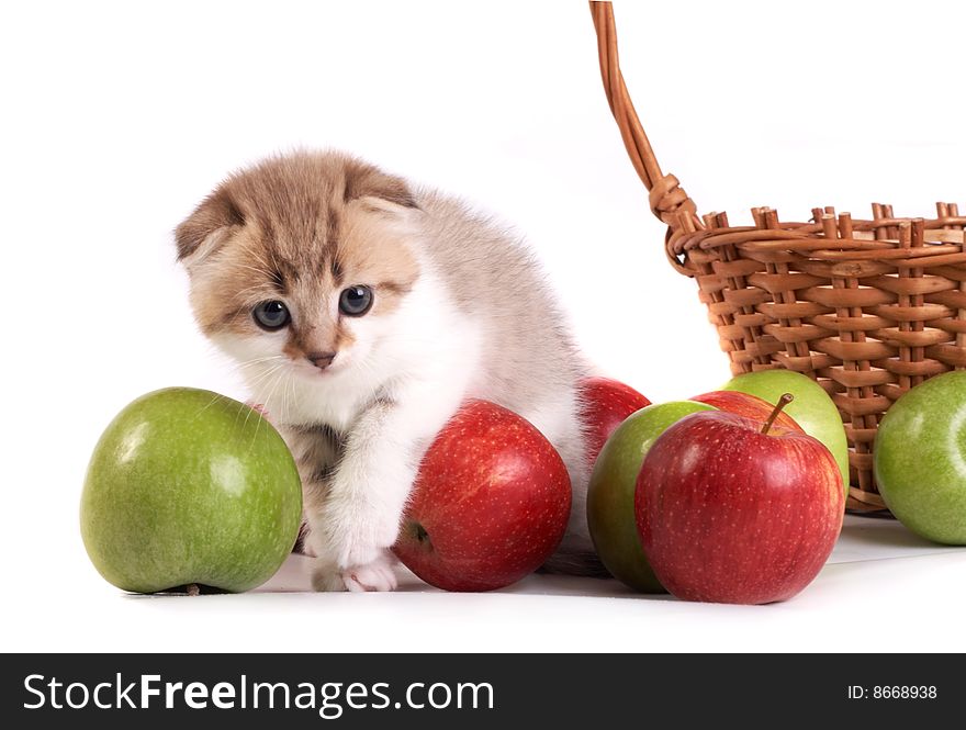 Kitten And A Basket With Apples