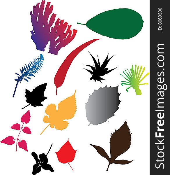 Set icons - 103C. Leaves. Pictures of leaves different plants and trees for your design