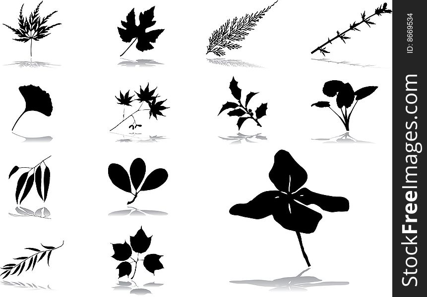 Set icons - 56. Leaves. Set of 13 vector icons for web