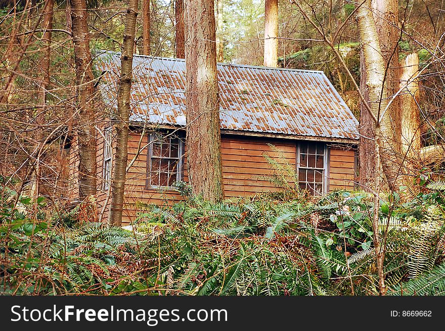 Old wooden cabin in woods in early spring