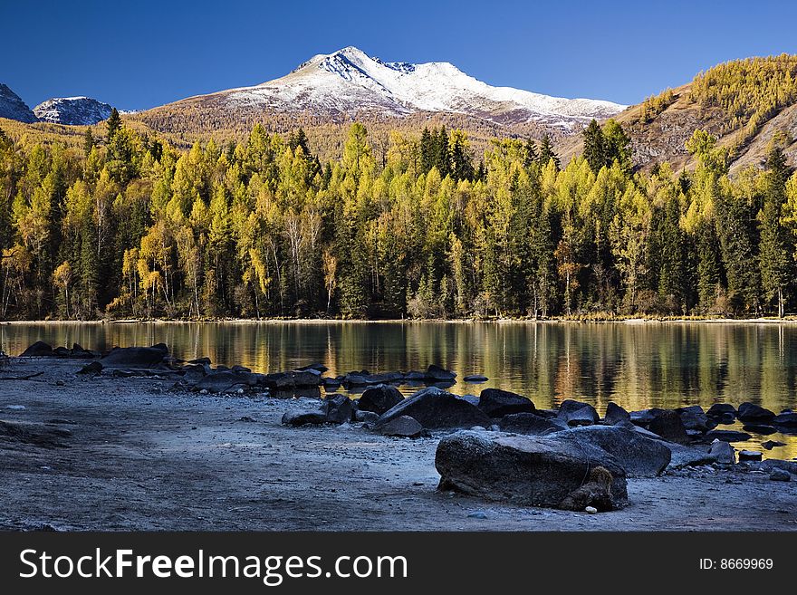 Forest and Mountain reflecting in a lake. Forest and Mountain reflecting in a lake.