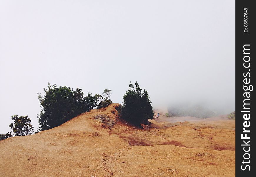 Hikers On Foggy Landscape