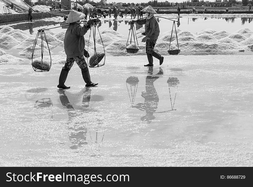 SALT FIELD