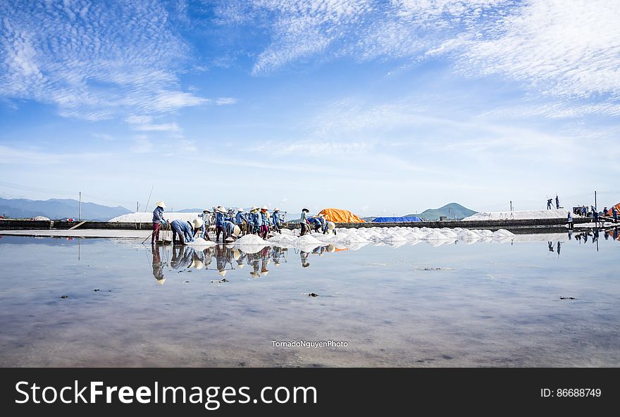 SALT FIELD