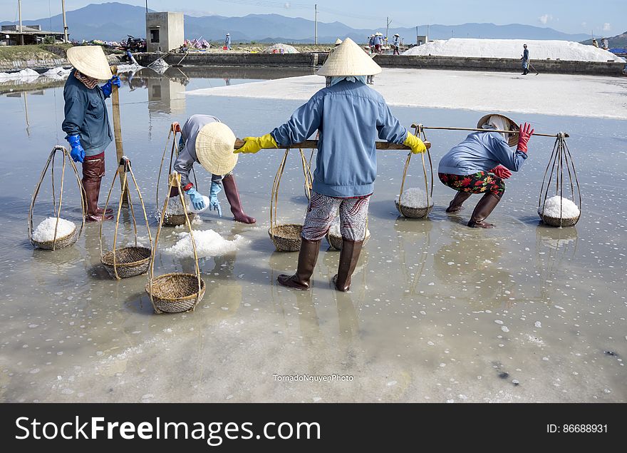 SALT FIELD