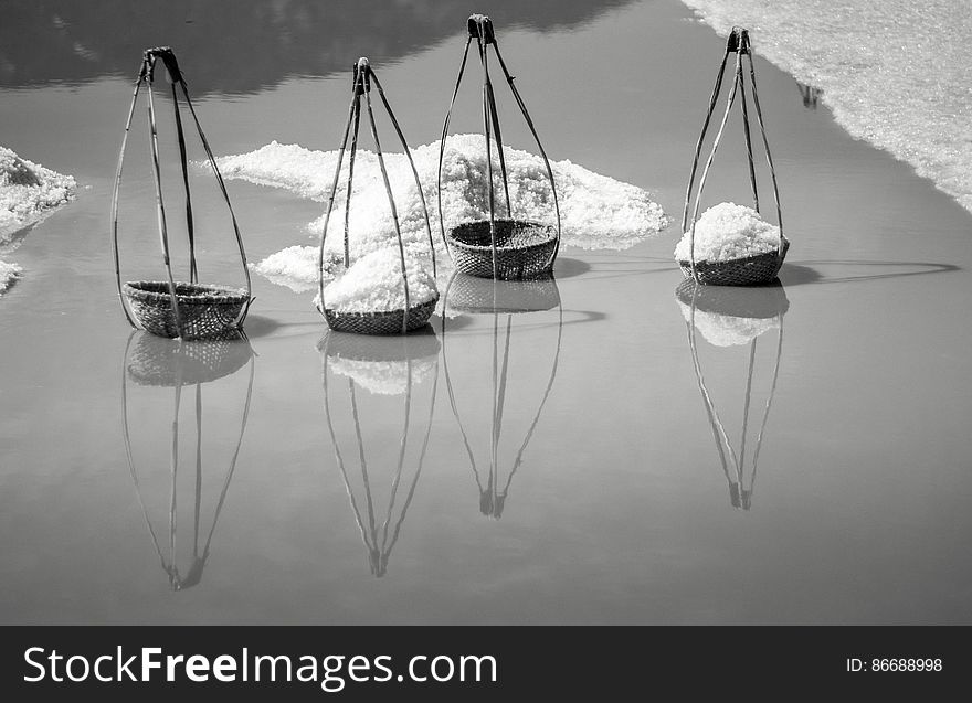 SALT FIELD