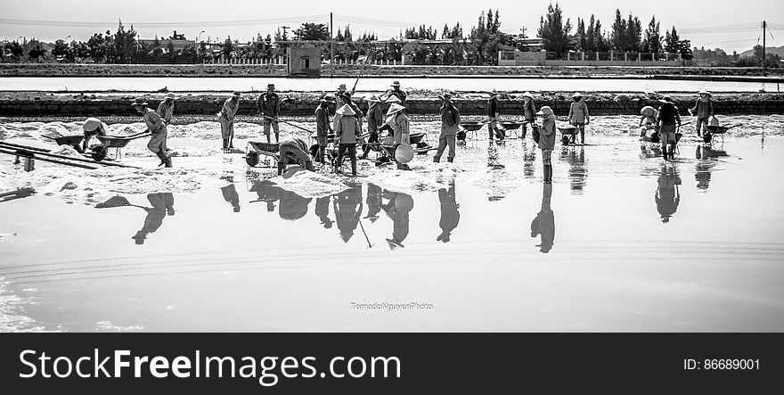 SALT FIELD