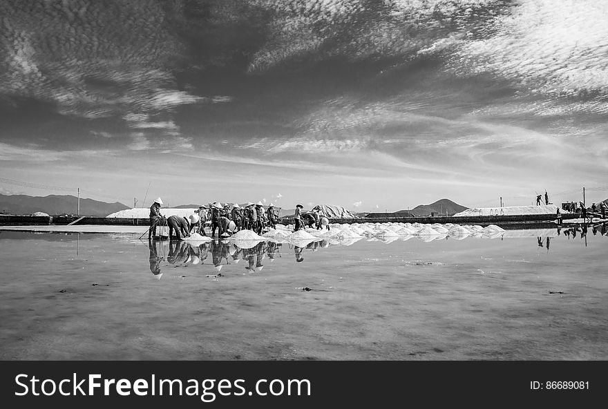 SALT FIELD