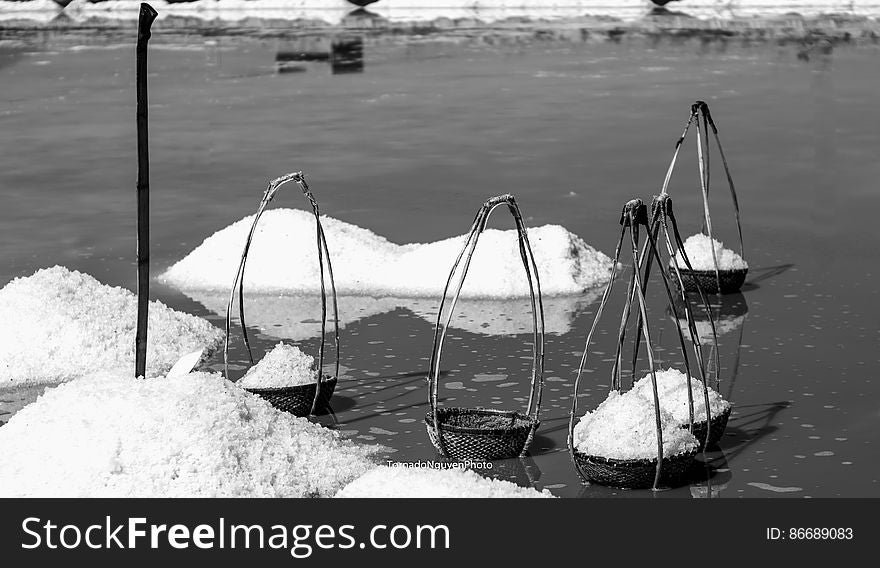 SALT FIELD