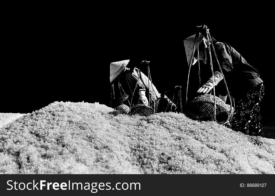 SALT FIELD