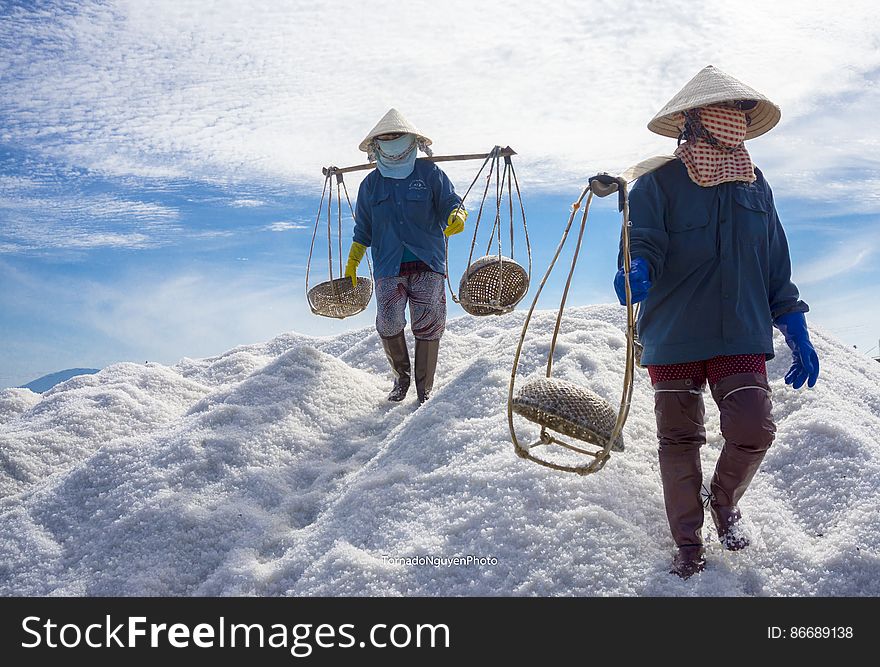 SALT FIELD